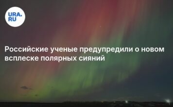 Российские ученые предупредили о новом всплеске полярных сияний 22 марта: подробности