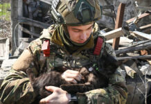 Пасхальное перемирие – новости Медиапроект s-t-o-l.com