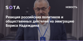 Реакция российских политиков и общественных деятелей на эмиграцию Бориса Надеждина